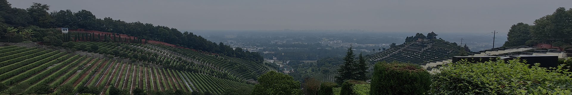 常见问题