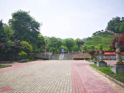 陵园环境