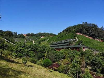 陵园环境